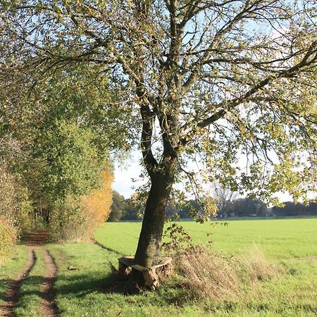 Ferienwohnung Bei Bunsel'S Versmold Exteriör bild